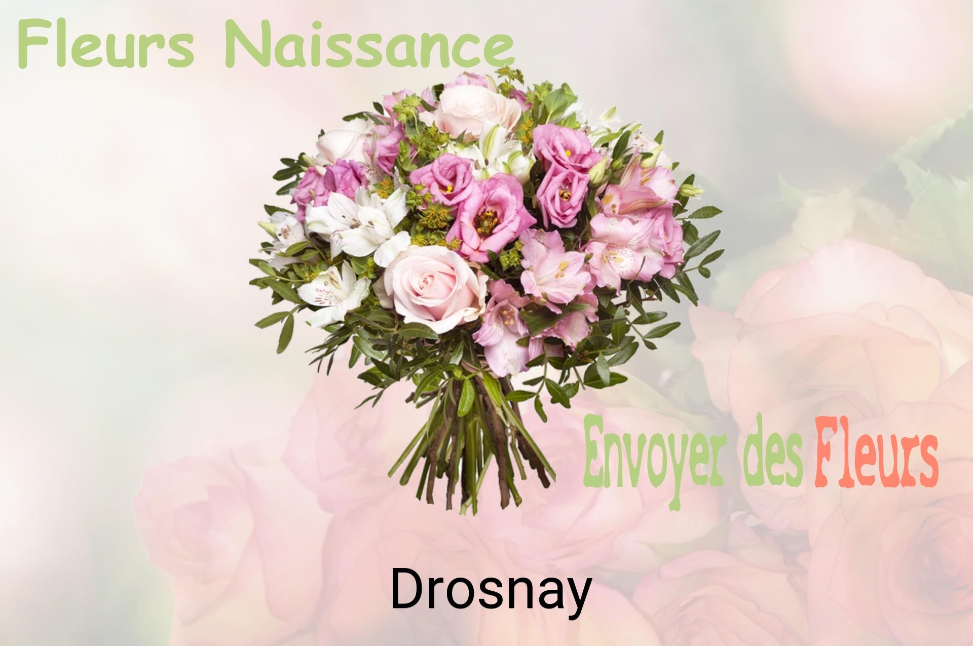 Bouquet de fleurs de naissance livré à Drosnay